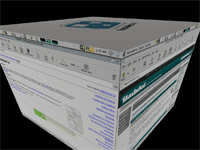 Compiz en action