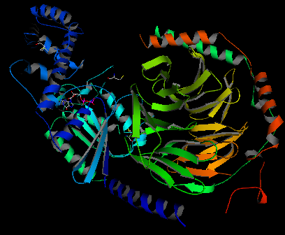 G Protein