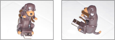 chien-usb.png