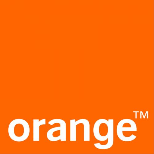audit gouvernement d�faillance logicielle panne r�seau Orange