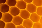 Des batteries Lithium-ion trois à quatres fois plus autonomes !