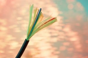 La fibre optique représente plus de 13% des abonnements haut débit au sein de l'OCDE.