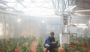 Il est possible de cultiver des pommes de terre sur Mars