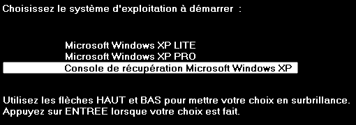 Choix du système d'exploitation à démarrer