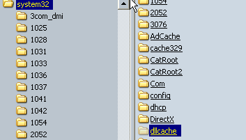 Dossier C:\Windows\System32\dllcache\