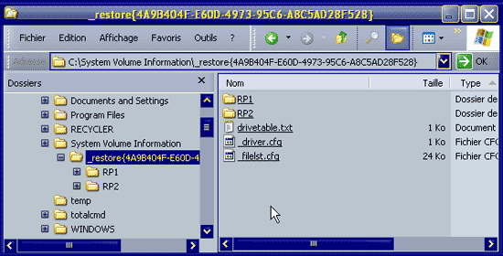 System Volume Information : _restore