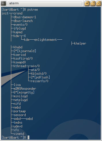 Commande pstree