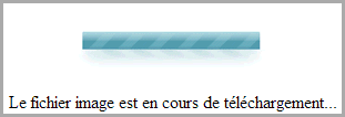 Chargement du firmware dans la mémoire du NAS