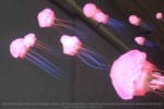 Magic Leap présente une vidéo bluffante de sa réalité augmentée