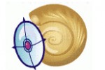 Logo ClamWin