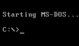 1395858213_Photo-microsoft-publie-code-source-Word-ms-dos_300x