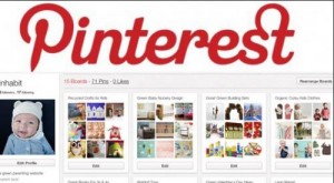 Photo-Pinterest-francais-reseau-social-succes-France_1403303468_300x