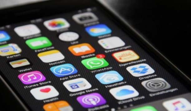 photo-bug-iOS-planter-smartphone-centre-de-controle_1493158050_600x