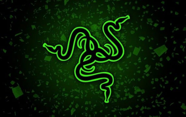 photo-smartphone-Gaming-Razer_1508266302_600x