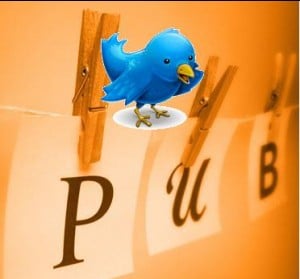 twitter-publicites-11459_300x