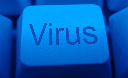 Virus