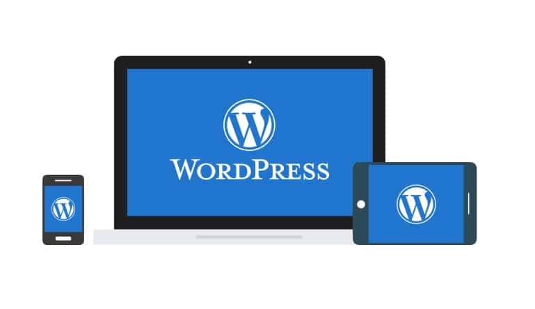 adoption-Wordpress Taux d'adoption en hausse pour Wordpress