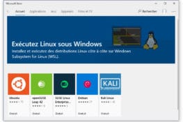 Exécuter Linux sous Windows