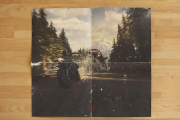 Verso du poster Days Gone