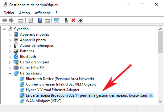 Cartes réseau dans le Gestionnaire de périphériques