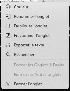 Menu contextuel des onglets