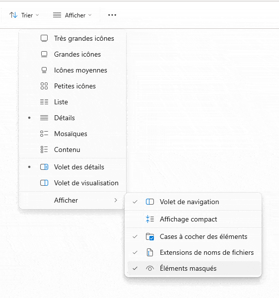 Afficher les éléments masqués
