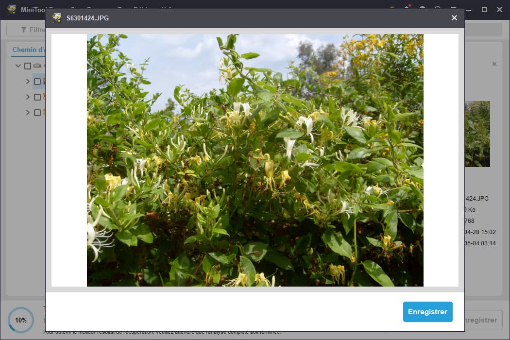 Prévisualisation des fichiers retrouvés