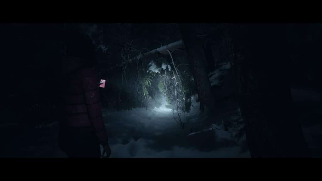 Forêt enneigée dans Unitil Dawn