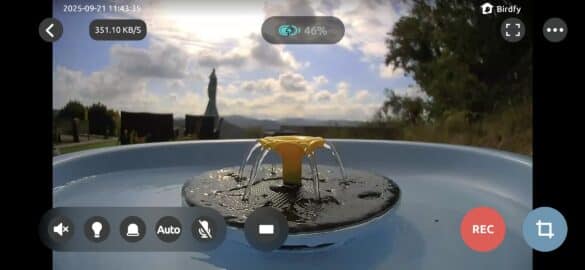Flux caméra principale application Birdfy
