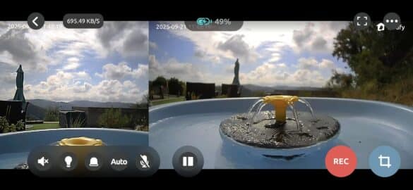 Flux double caméra Birdfy