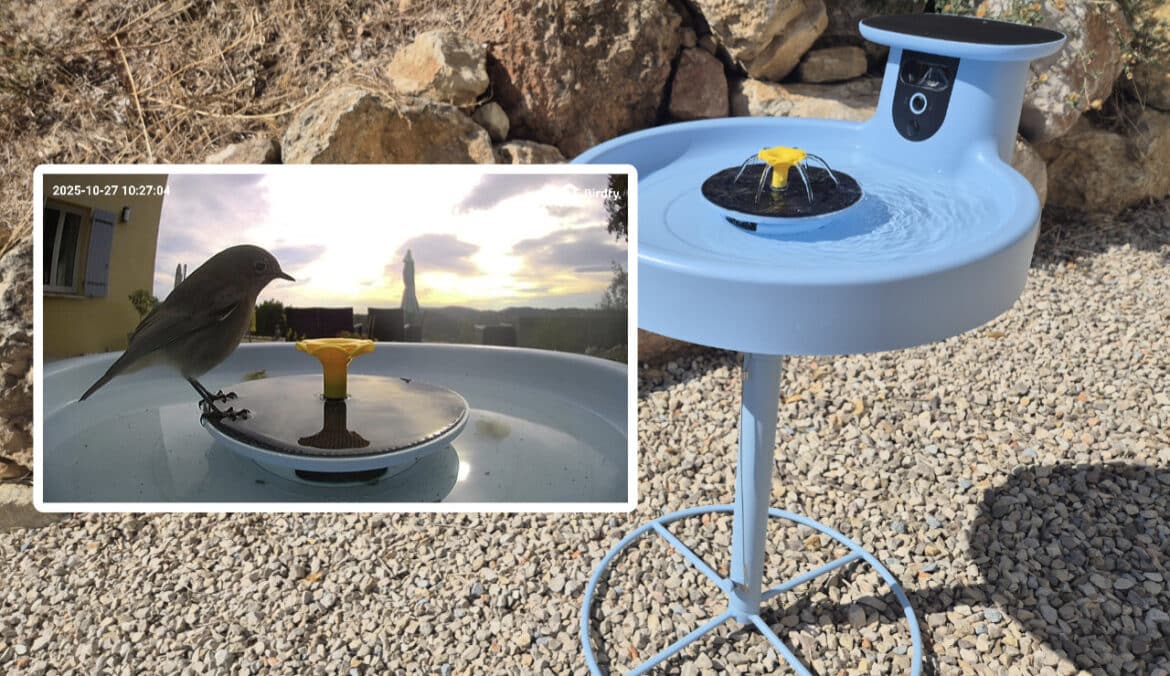Birdfy Bath Pro avec caméras intégrées et aperçu d'une capture d'oiseau en utilisation réelle.