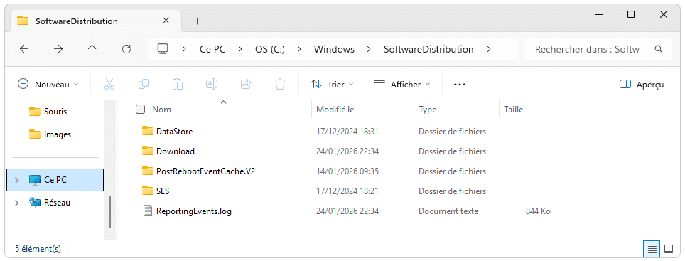 dossier softwaredistribution windows update
