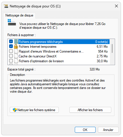 Outil de nettoyage de disque Windows 11
