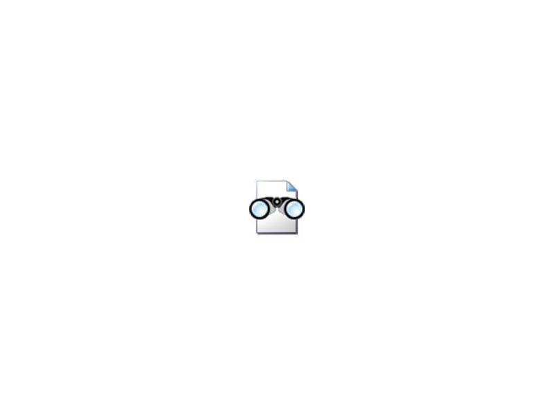 MDI Viewer